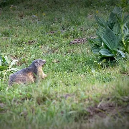 Hotell Sowell Family